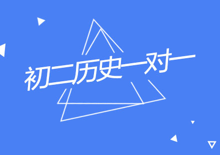 杭州初二历史一对一同步辅导