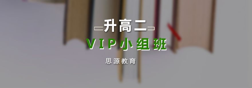 升高二VIP小组培训班