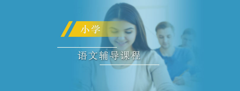 六年级语文辅导课程