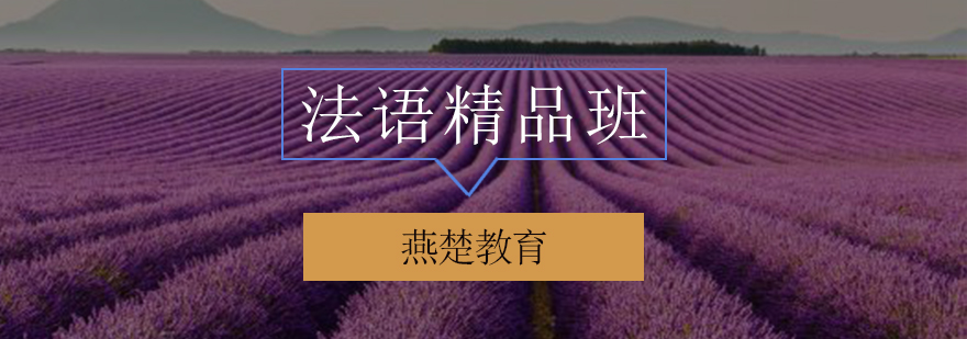 法语精品班课程实景