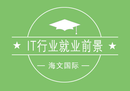 IT行业职业发展全景解析