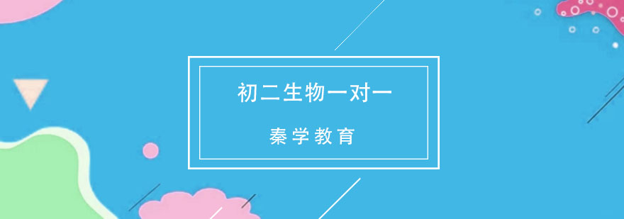 初二生物重点解析