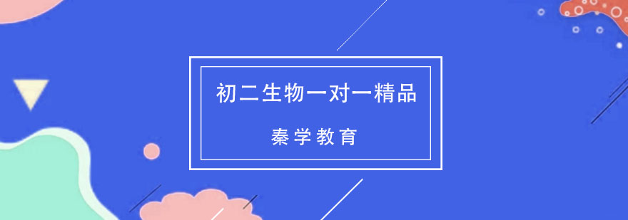 个性化生物辅导课堂
