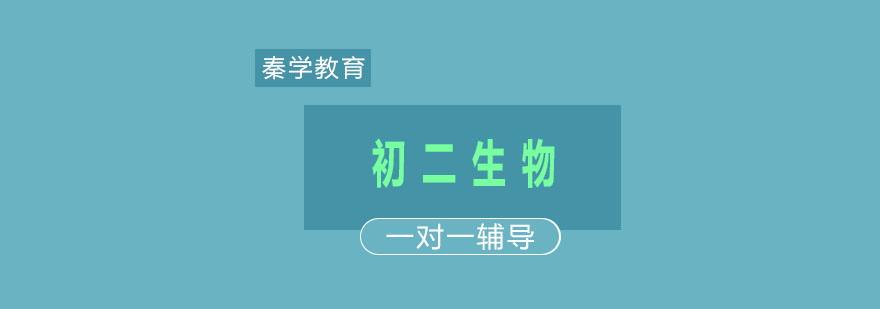 南京生物个性化辅导