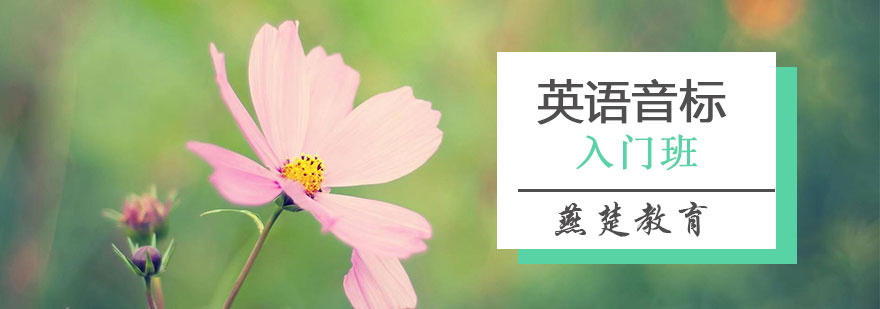 英语发音训练课堂