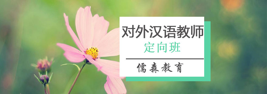 对外汉语教师定向班