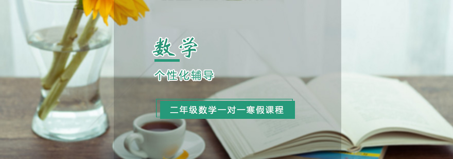 小学二年级数学一对一寒假辅导课程