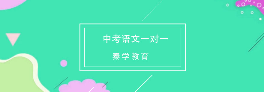 中考语文专项提升