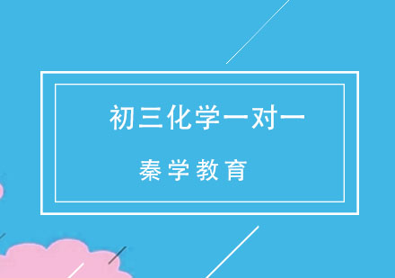 杭州初三化学一对一精品辅导