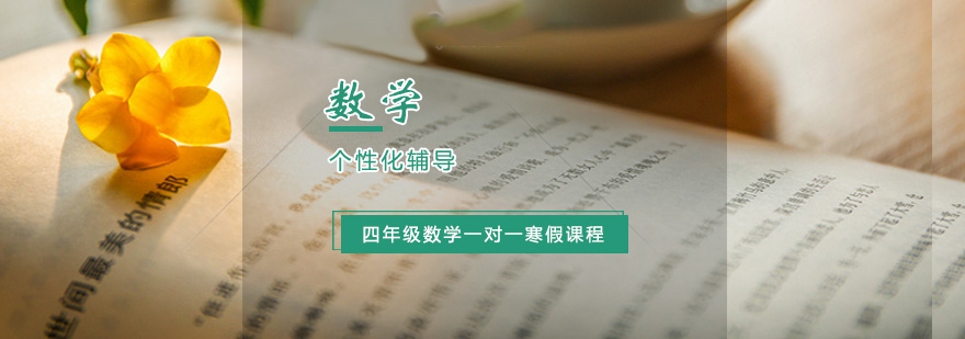 小学四年级数学一对一寒假辅导课程