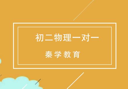 杭州初二物理一对一精品辅导
