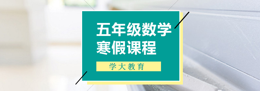 小学五年级数学一对一寒假辅导课程