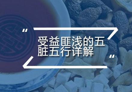 中医五行脏腑系统精讲