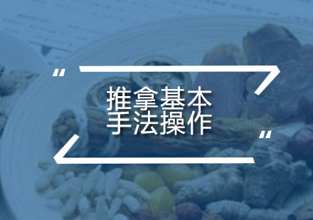 中医推拿核心技法精讲