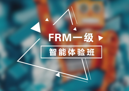 FRM一级智能体验课程