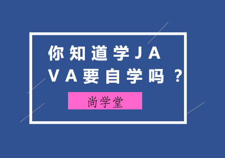 Java学习路径深度解析：培训与自学的多维对比