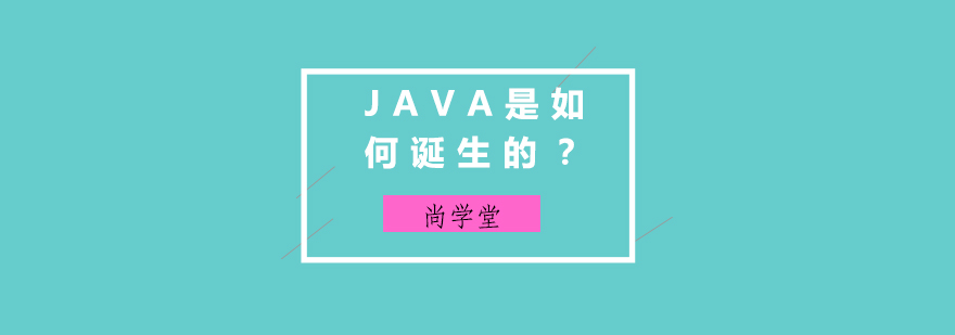 JAVA