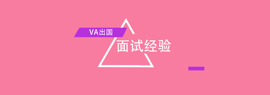 VA艺术作品集案例