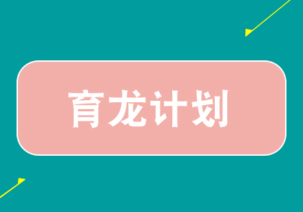 銀行內(nèi)訓(xùn)師培訓(xùn)項目-育龍計劃