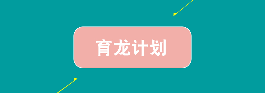 银行内训师培训项目育龙计划