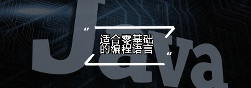 编程语言学习路径