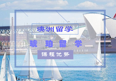 澳洲中学教育体系解析：选课自由与评估机制揭秘