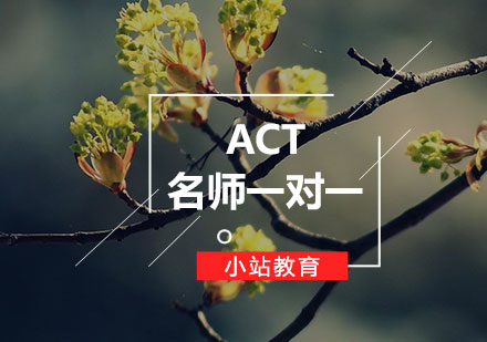 ACT*一对一课程