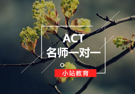 ACT一对一课程