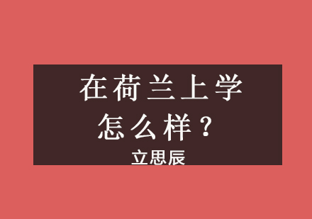 荷兰高等教育全景解析