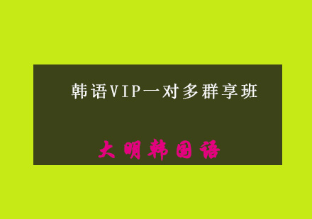 韩语VIP一对多群享班