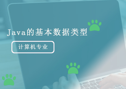 Java的基本数据类型