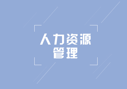 专本套读人力资源管理专业