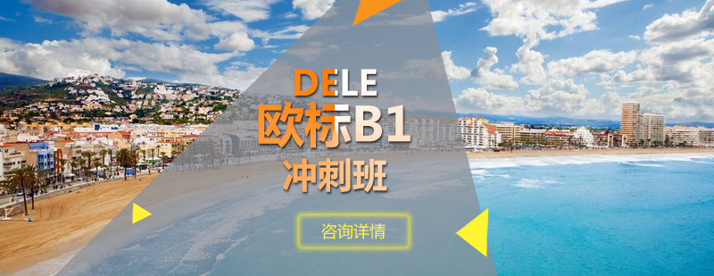 DELE欧标B1冲刺班