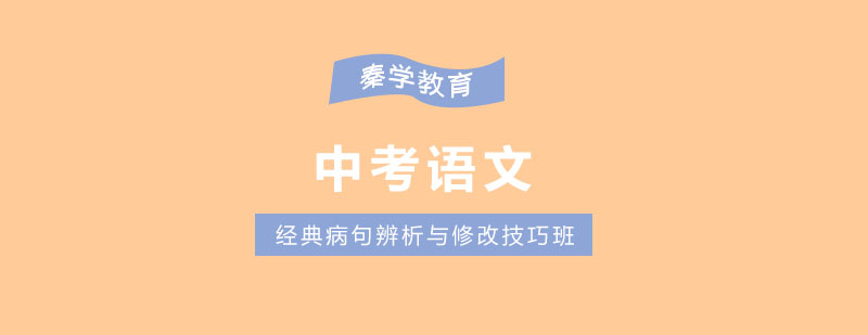 南京中考语文经典病句辨析与修改技巧班