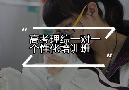 高考理综一对一个性化培训班