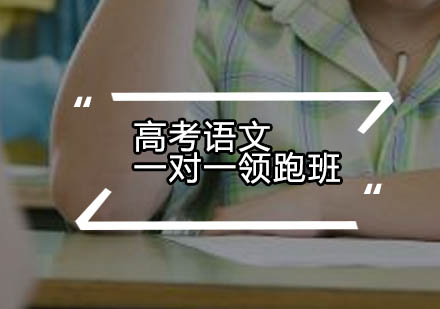 高考语文一对一领跑班