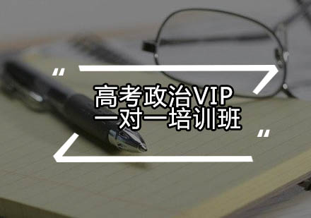 高考政治VIP一对一培训班