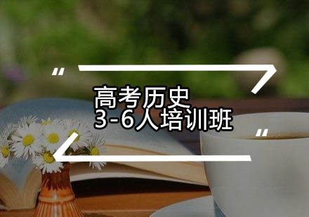 高考历史3-6人培训班