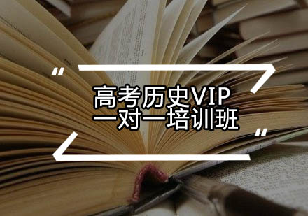 高考历史VIP一对一培训班