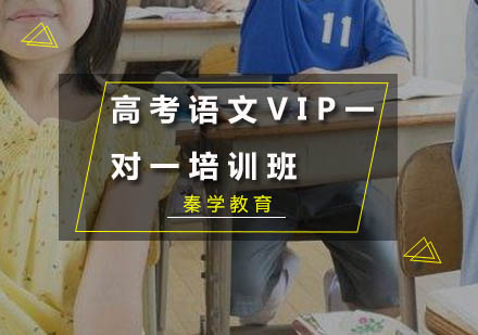 高考语文VIP一对一培训班