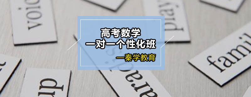 高考数学一对一个性化辅导班