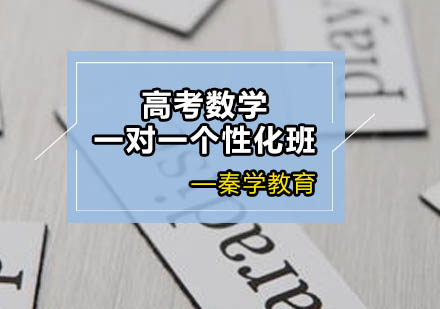 高考数学一对一个性化辅导班