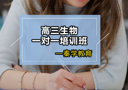 高三生物一对一培训班
