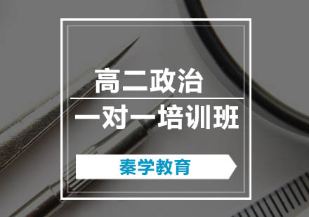 高二政治一对一培训班