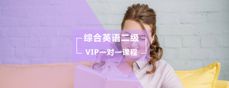 综合英语二级VIP一对一课程