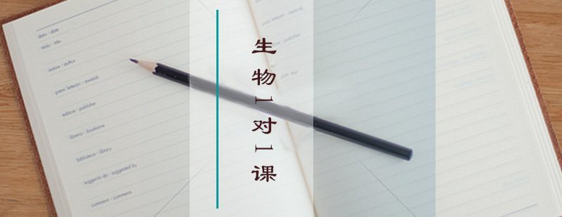 地理小班教学场景