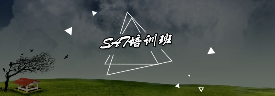 SAT课堂实景