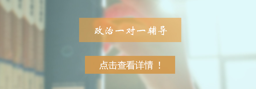 政治学科辅导场景