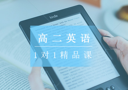 高二英语一对一辅导精品课程