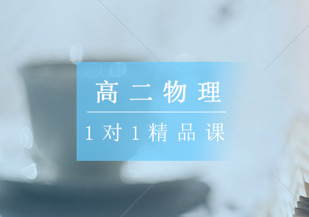 高二物理一对一辅导精品课程